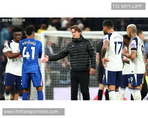 记者评论热刺转会策略称弗兰克关注伊万托尼不解为何引进特尔